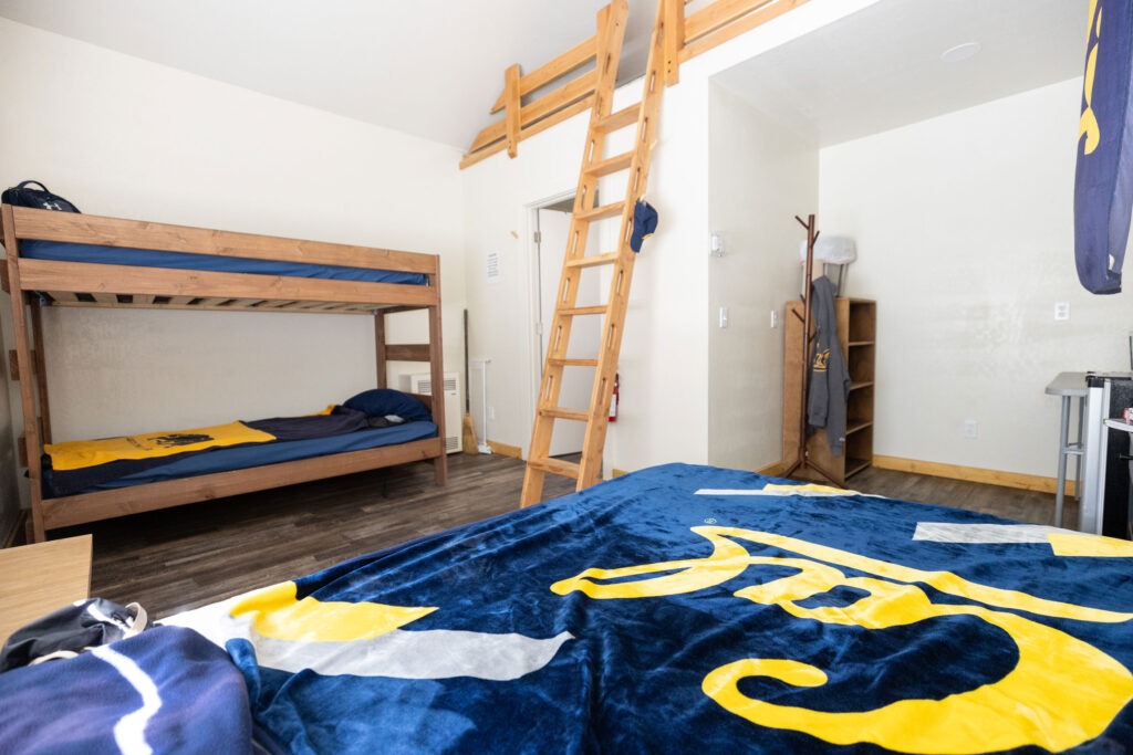 cabin living space with bunk bed and ladder to loft