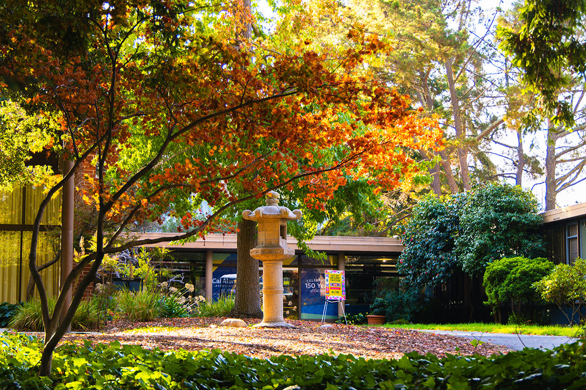 The Alumni House surrounded by fall foliage