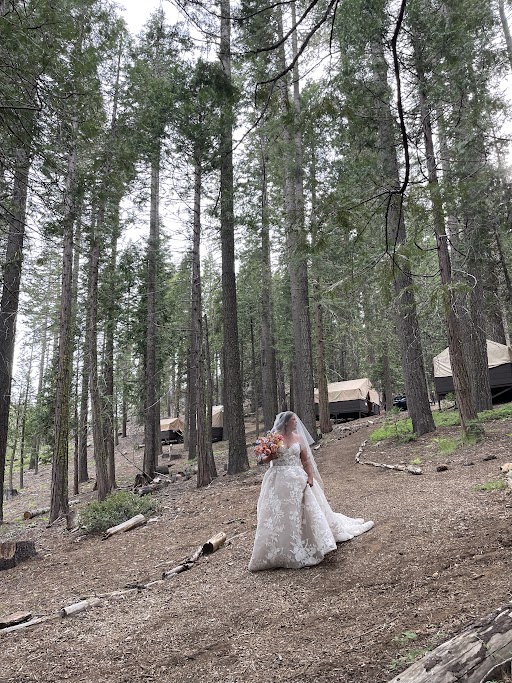 A bride walking alone through the forest