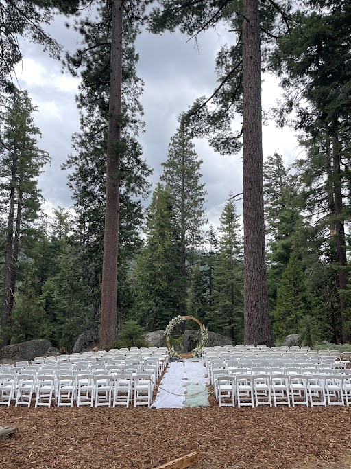 chairs set up in preparation for an outdoor wedding ceremony under trees