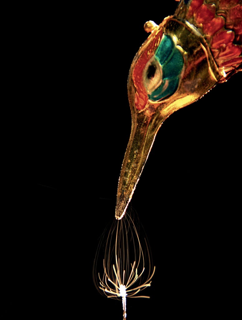 Pollen grains are attracted to an electrostatically charged hummingbird model.